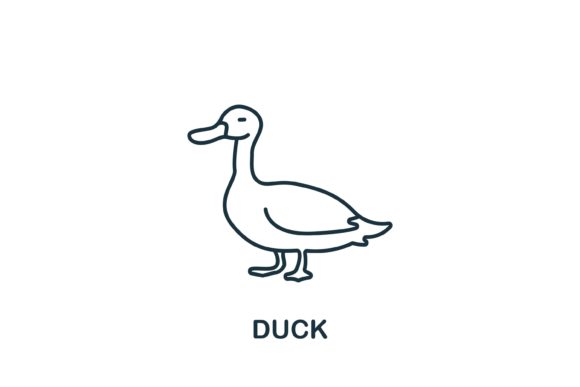 Duck Icon from Home Animals Collection: Enhancing Visual Workflows with Versatile Design Elements