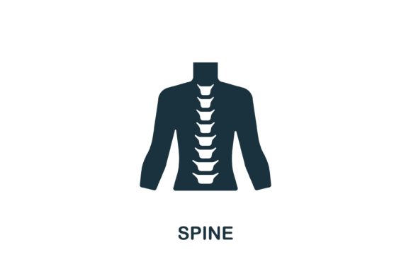 Understanding the Role of Spine Icons in Modern Web Design